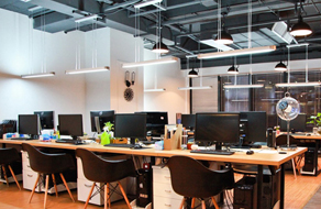 办公区域财神树黄叶？位置、光照、温度讲究你得知道