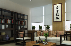 办公室财神树总养死？别让它只发黄不发财，这4招救活它